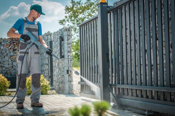Best Roof Washing  in Black River Falls, WI