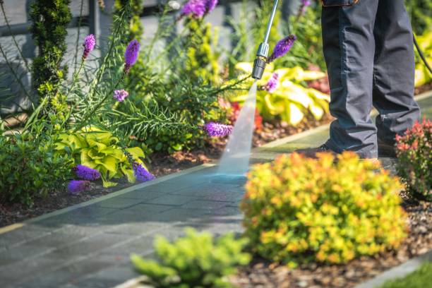 Best Gutter Cleaning  in Black River Falls, WI