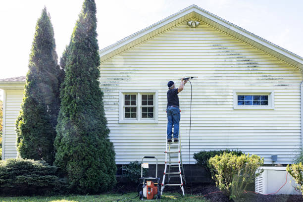 Professional Pressure Washing Services in Black River Falls, WI