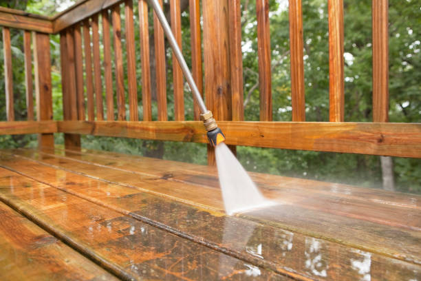 Best Dumpster Area Cleaning  in Black River Falls, WI