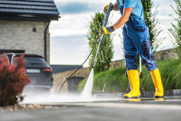 Best Fence Cleaning  in Black River Falls, WI